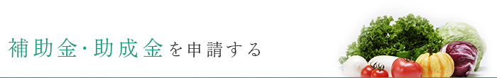 補助金・助成金を申請する