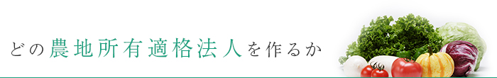 どの農地所有適格法人（旧：農業生産法人）を作るか