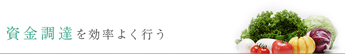 資金調達を効率よく行う